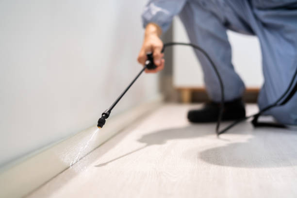 Licensed Cockroach Control service in Reidsville, GA - Nex Pest Control
