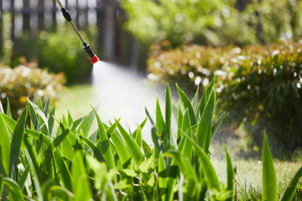 24/7 Emergency Cockroach Control experts in Reidsville, GA
