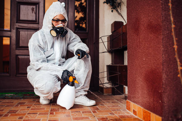 Reliable Cockroach Control contractor in Reidsville, GA by Nex Pest Control